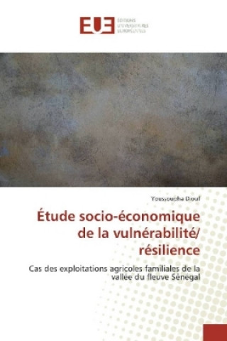 Kniha Étude socio-économique de la vulnérabilité/ résilience Youssoupha Diouf