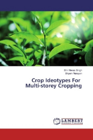 Könyv Crop Ideotypes For Multi-storey Cropping Shri Niwas Singh