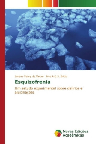 Könyv Esquizofrenia Lorena Fleury de Moura