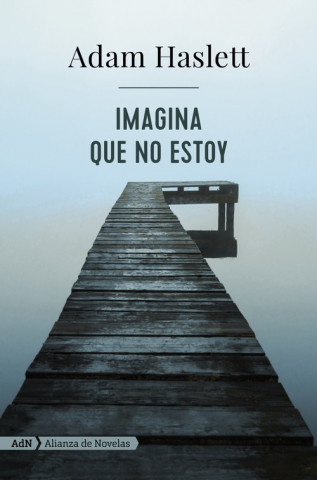 Книга Imagina que no estoy ADAM HASLETT