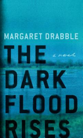 Book The Dark Flood Rises Margaret Drabble