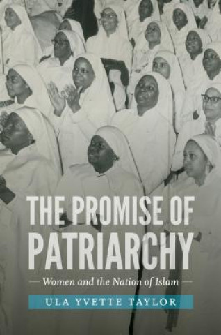 Knjiga Promise of Patriarchy Ula Yvette Taylor