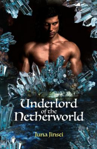Книга Underlord of the Netherworld Juna Jinsei