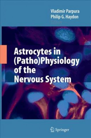 Könyv Astrocytes in (Patho)Physiology of the Nervous System Vladimir Parpura
