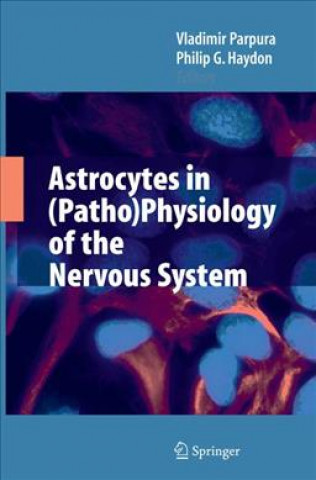 Книга Astrocytes in (Patho)Physiology of the Nervous System Vladimir Parpura