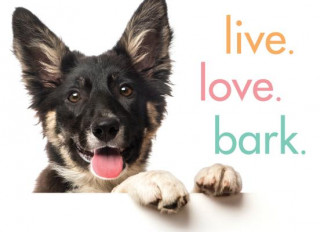 Książka Live. Love. Bark. Sourcebooks