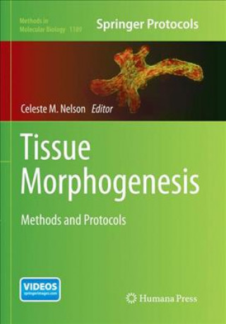 Книга Tissue Morphogenesis Celeste M. Nelson
