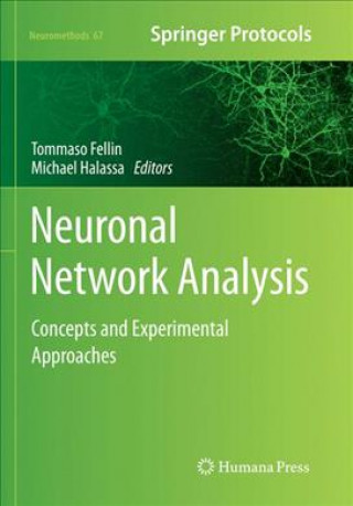 Kniha Neuronal Network Analysis Tommaso Fellin