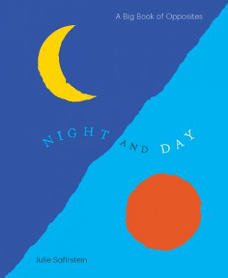 Книга Night and Day Julie Safirstein