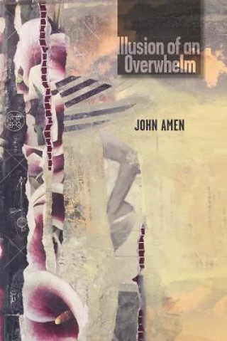 Książka Illusion of an Overwhelm John Amen