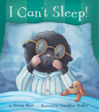 Book I Can't Sleep! Owen Hart