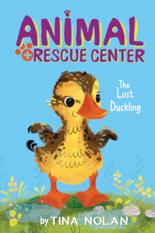 Kniha Lost Duckling Tina Nolan
