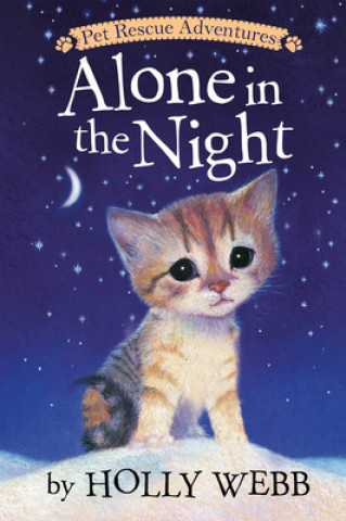 Kniha Alone in the Night Holly Webb