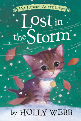 Könyv Lost in the Storm Holly Webb