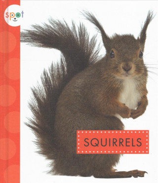 Książka Squirrels Wendy Strobel Dieker