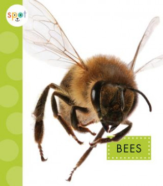 Libro Bees Nessa Black