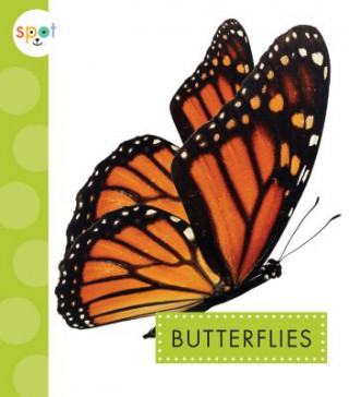 Carte Butterflies Rachel Bach