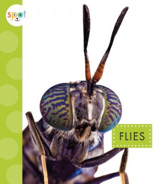 Kniha Flies Nessa Black