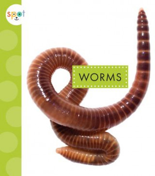Könyv Worms Nessa Black