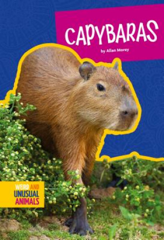 Kniha Capybaras Allan Morey