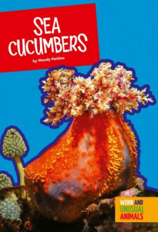 Kniha Sea Cucumbers Wendy Perkins