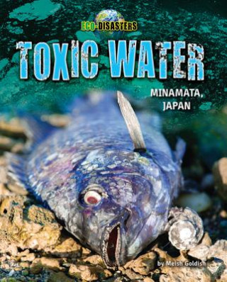 Könyv Toxic Water: Minamata, Japan Meish Goldish