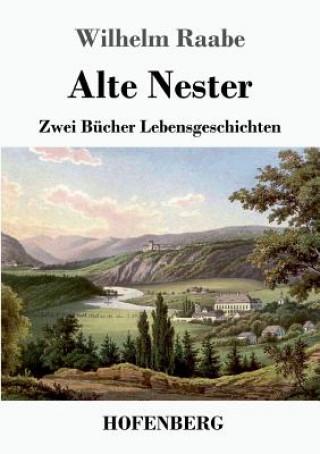 Boek Alte Nester Wilhelm Raabe