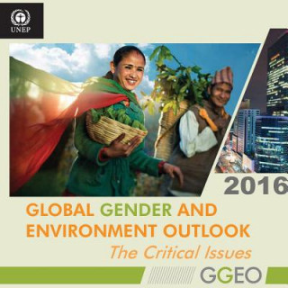 Carte Global gender and environment outlook 2016 United Nations Publications