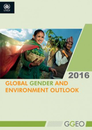 Kniha Global gender and environment outlook 2016 United Nations Environment Programme