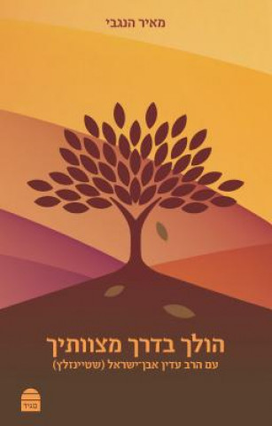 Книга HOLEICH BDERECH MITZVOTECHA Meir Hanegbi