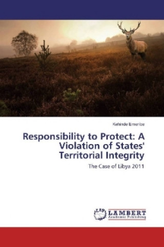 Kniha Responsibility to Protect: A Violation of States' Territorial Integrity Kehinde Emeribe