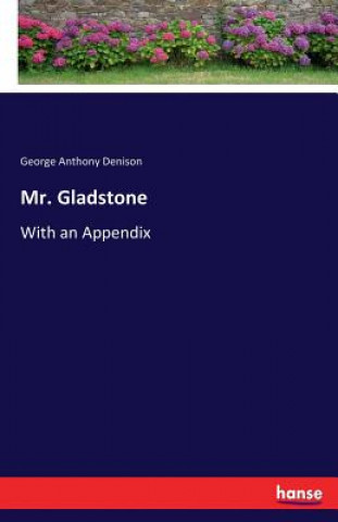 Book Mr. Gladstone George Anthony Denison