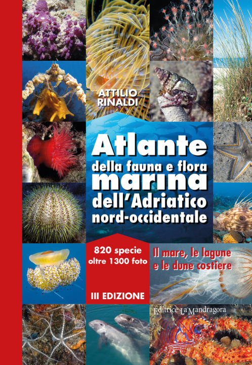 Carte Atlante della fauna e flora marina dell'Adriatico nord-occidentale Attilio Rinaldi