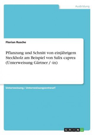 Könyv Pflanzung und Schnitt von einjährigem Steckholz am Beispiel von Salix caprea (Unterweisung Gärtner / -in) Florian Rusche