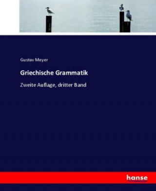 Kniha Griechische Grammatik Gustav Meyer