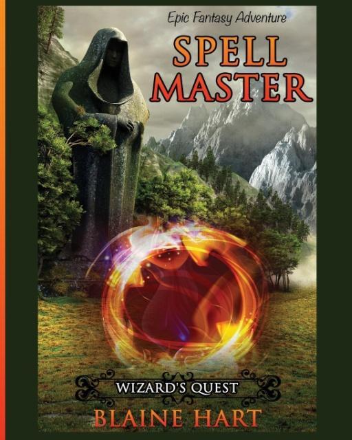 Buch Wizard's Quest Blaine Hart