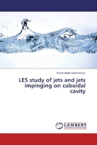 Kniha LES study of jets and jets impinging on cuboidal cavity Ramanathan Varadharajan