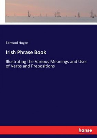 Kniha Irish Phrase Book Edmund Hogan