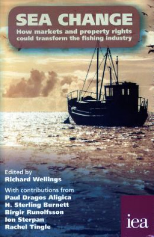 Könyv Sea Change Richard Wellings