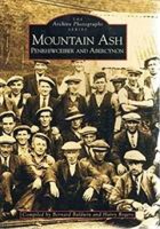 Knjiga Mountain Ash Harry Rogers