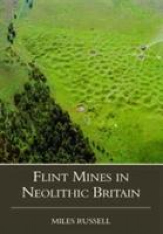 Kniha Neolithic Flint Mines in Britain Miles Russell