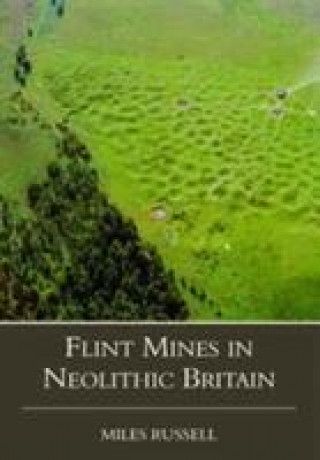 Libro Neolithic Flint Mines in Britain Miles Russell