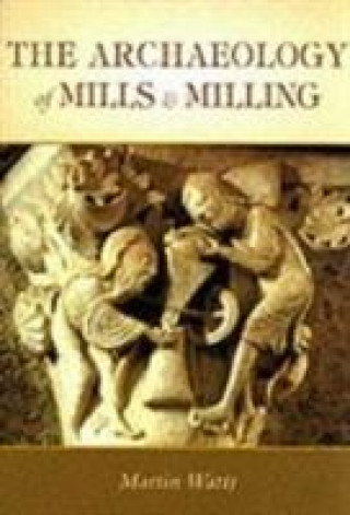 Kniha Archaeology of Mills and Milling Martin Watts