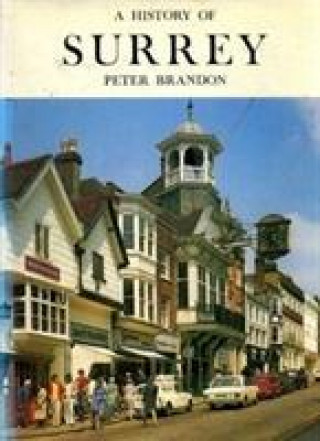 Carte History of Surrey Peter Brandon