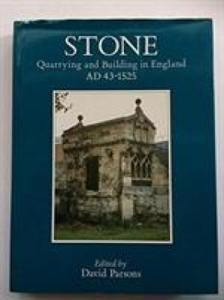 Kniha Stone David Parsons