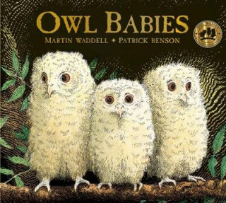 Книга Owl Babies Martin Waddell