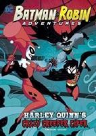 Kniha Batman & Robin Adventures Pack B of 4 DC COMICS