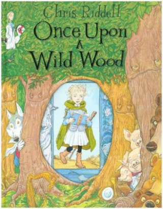 Kniha Once Upon a Wild Wood RIDDELL  CHRIS