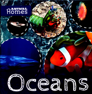 Carte Oceans Holly Duhig
