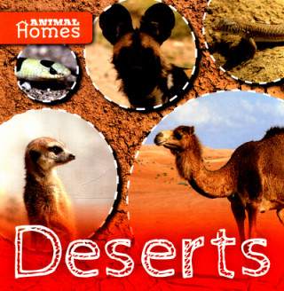 Kniha Deserts Holly Duhig